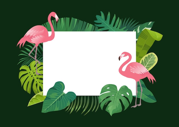 Vector summer vector illustration of tropical plants