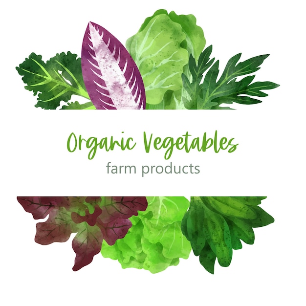 Vector summer veggies banner hand drawn   watercolor illustration