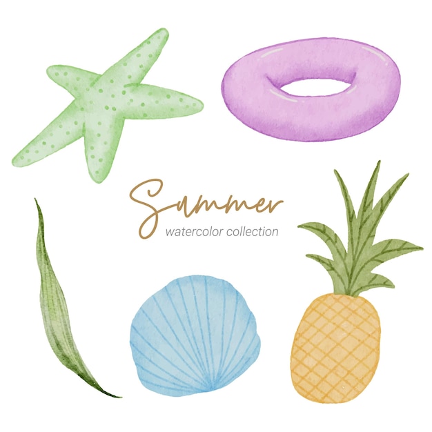 Vector summer watercolor element collection