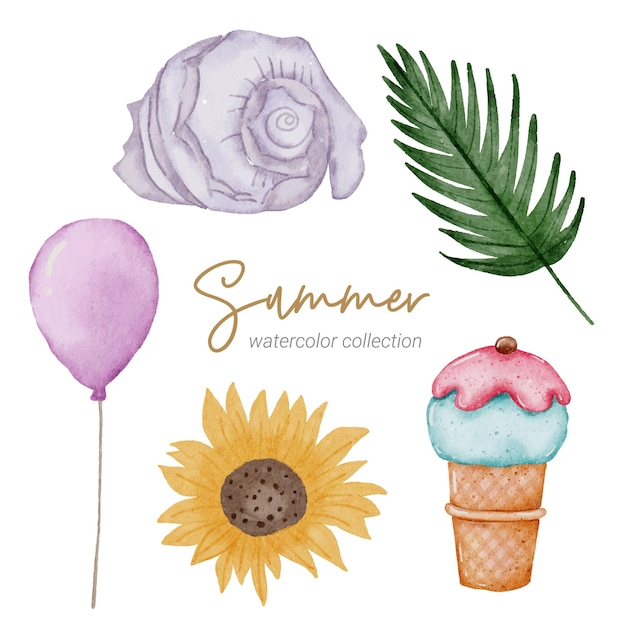 Vector summer watercolor element collection