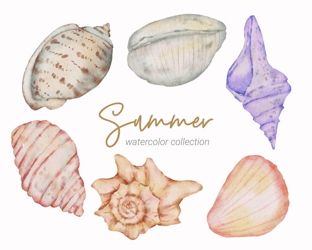 summer watercolor element collection