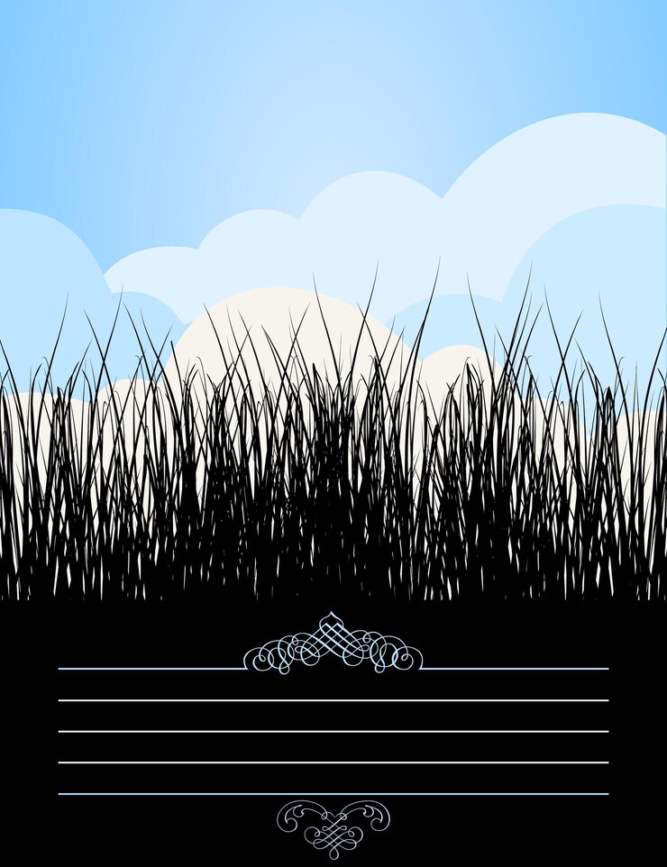 Vector summer2