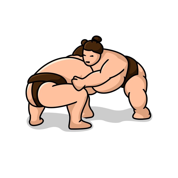 Vector sumo cartoon character, flat design style