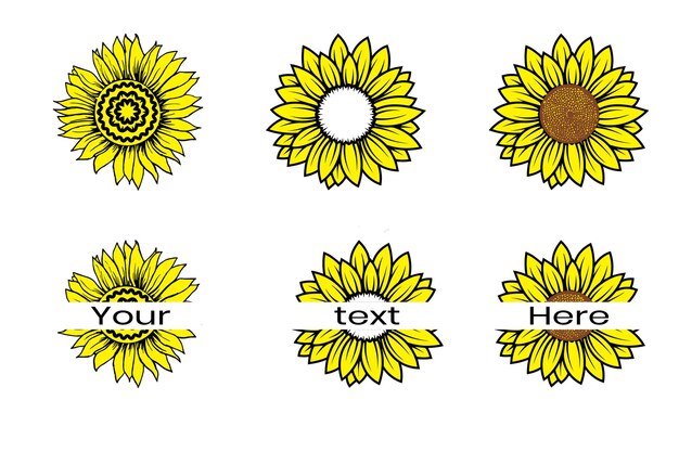 Sun flower bundle sunflower flower vector premium vector