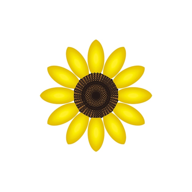 Sun flower design vector