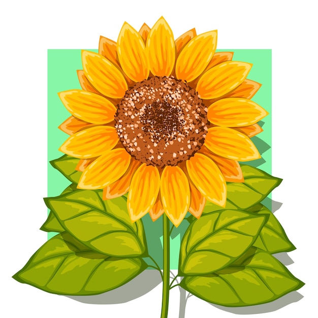 Vettore illustrazione di fiori di sun flower