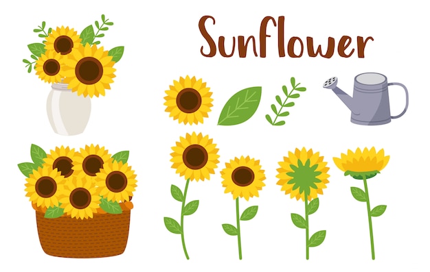 Vector sun flower set