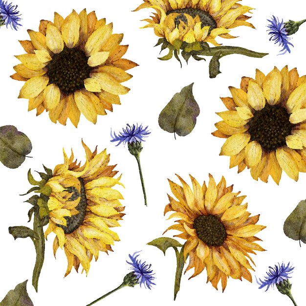 Vector sunflower background painted with watercolors