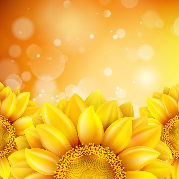 Vector sunflower background with bokeh.