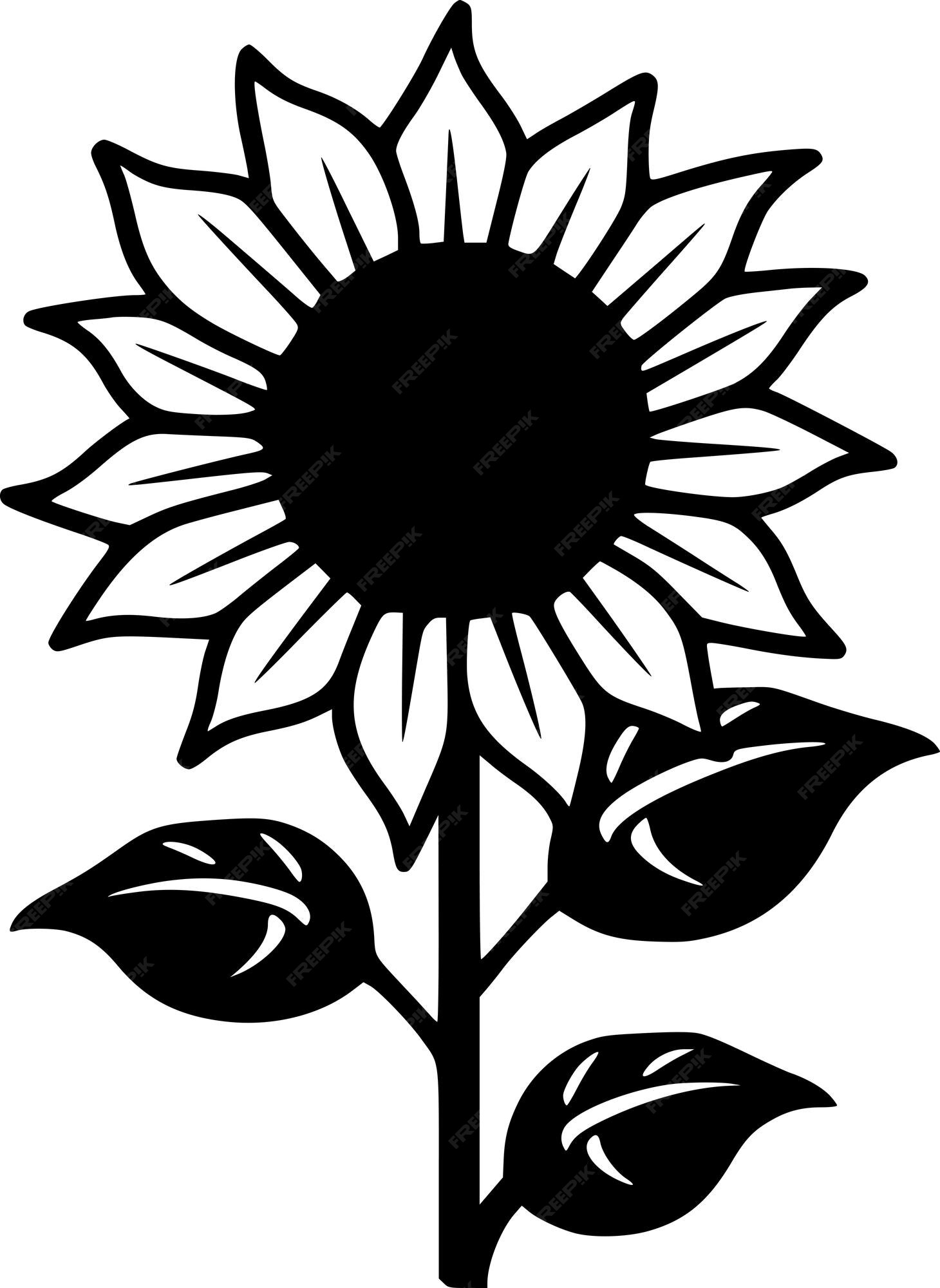 Premium Vector | Sunflower Black and White Vector illustration