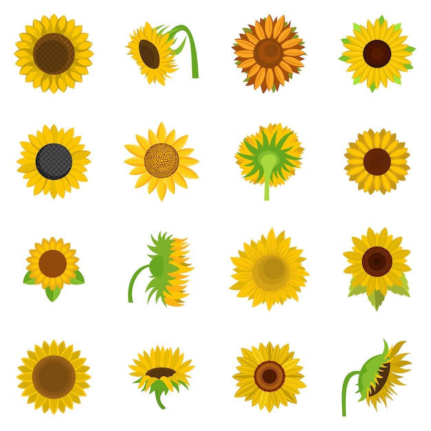 Sunflower blossom icons set vector isolated