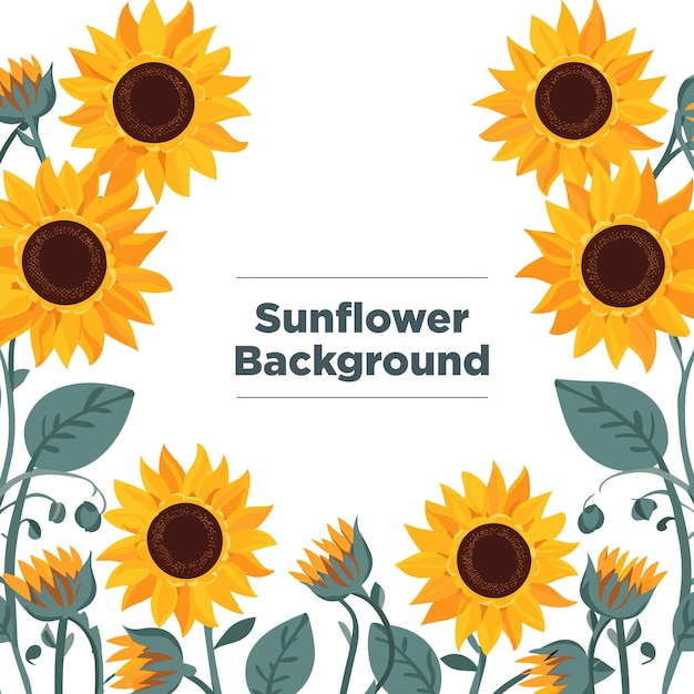 sunflower border design pattern 4K