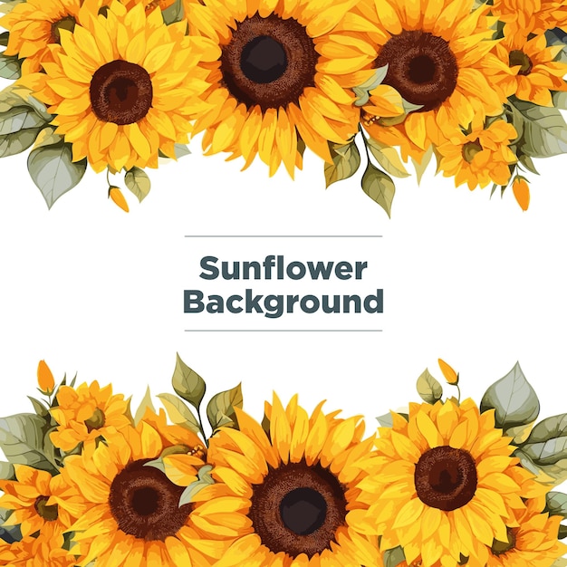 Vector sunflower border design pattern 4k