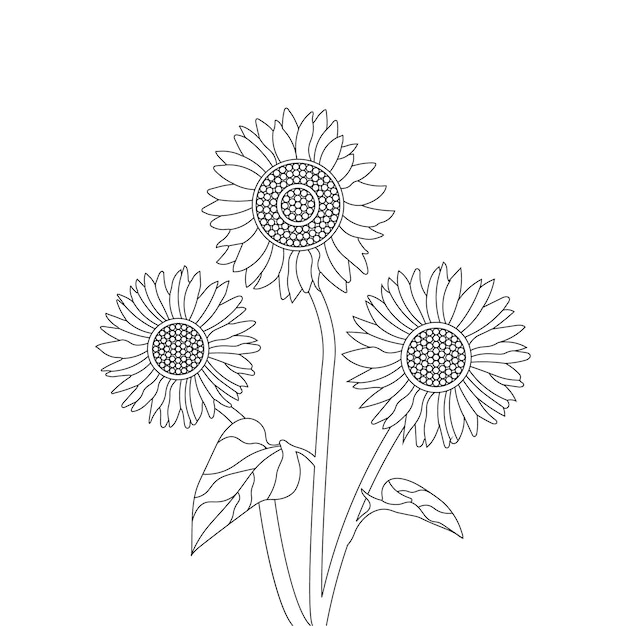 sunflower coloring page of book With line art flower sketch vector illustration