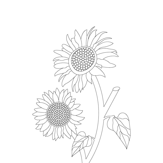 sunflower coloring page With line art flower sketch vector design and illustration