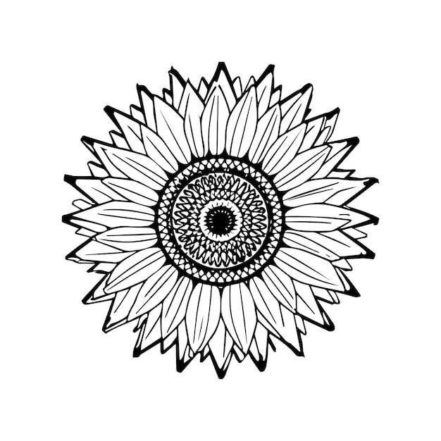 Vector sunflower coloring pages sunflower outline vector