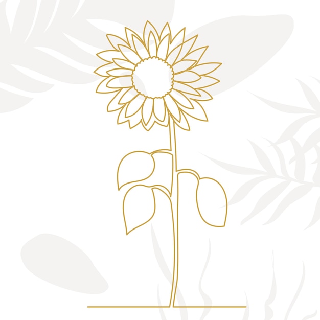 Sunflower drawing in one line on an abstract background vector