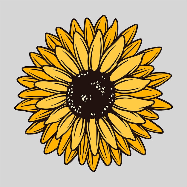 Цветок подсолнечника Винтажная иллюстрация