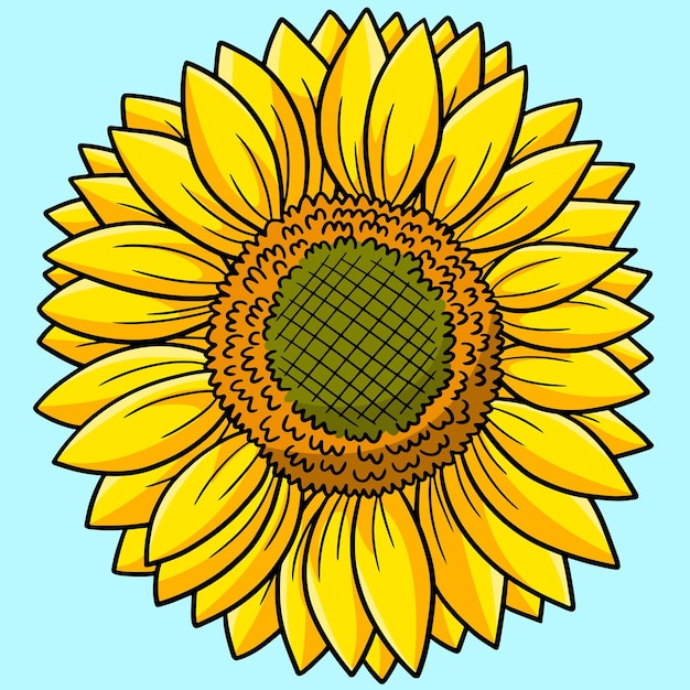 Vector sunflower flower colored cartoon illustration