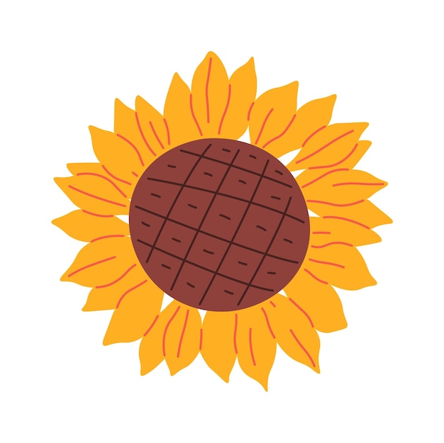 Testa di fiore di girasole