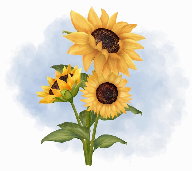 Sunflower flower realistic vector illustration