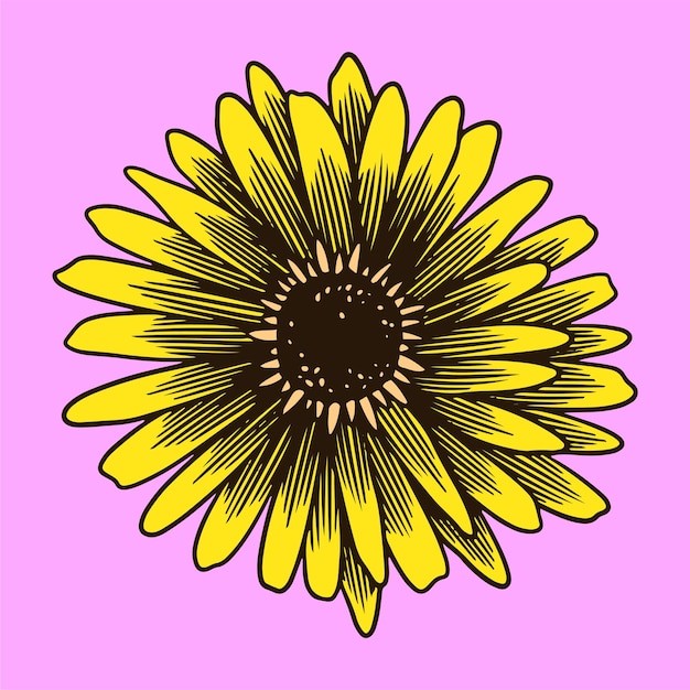 Sunflower Flower Vector Illustration
