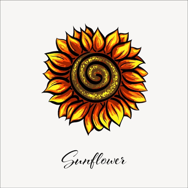 Girasole disegnato a mano isolato su sfondo bianco