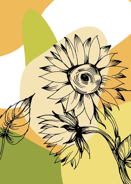 Sunflower hand Painted Illustrations for Wall Decoration minimalist flower in sketch style