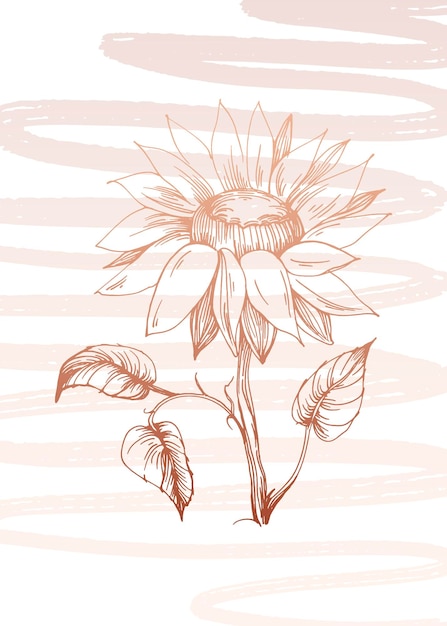 Sunflower hand Painted Illustrations for Wall Decoration minimalist flower in sketch style