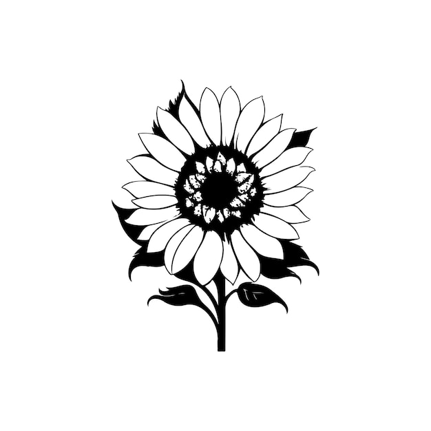 Sunflower Icon hand draw black colour thanksgiving day logo vector element and symbol