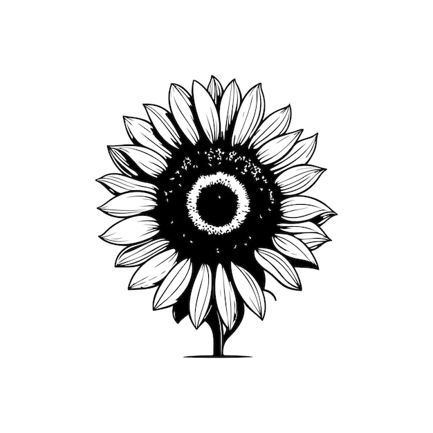Sunflower Icon hand draw black colour thanksgiving day logo vector element and symbol