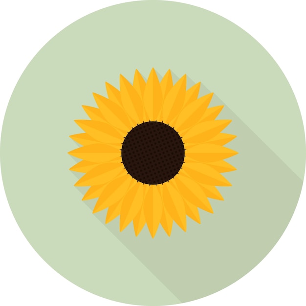 Sunflower icon with long shadow on green background flat design style