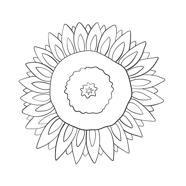 Il girasole è uno stile di linea di fiori di sole isolato su uno sfondo bianco illustrazione vettoriale