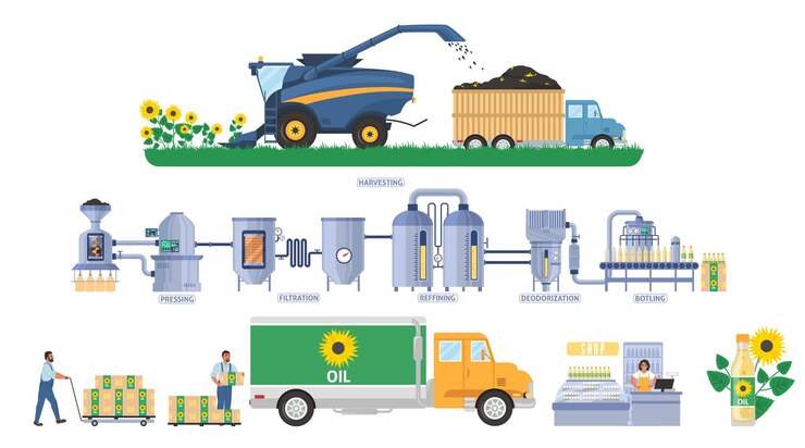 Vector sunflower oil production infographic, flat vector illustration. seeds harvesting, transport. vegetable oil processing plant, cooking oil production line. distribution, sale, consumption. food industry