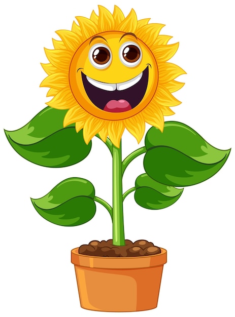 Sunflower plant in pot cartoon isolated