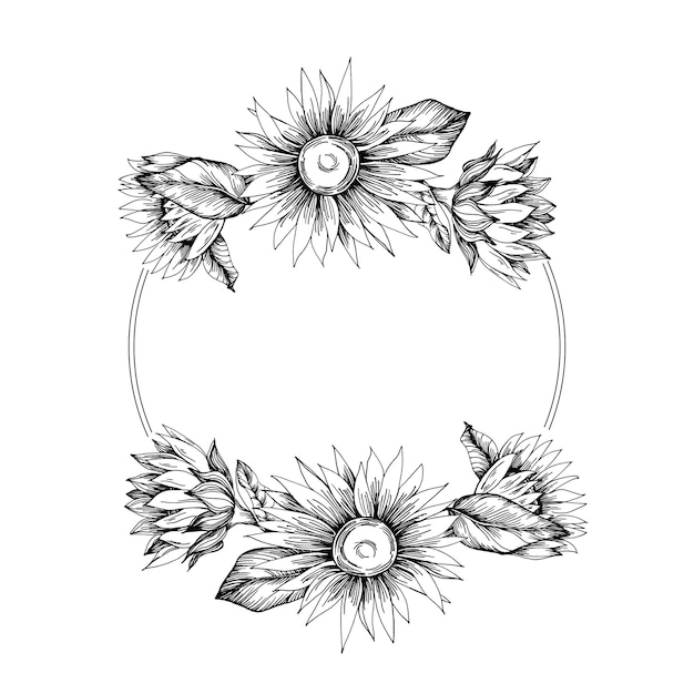 Vettore disegni senza cuciture di girasole