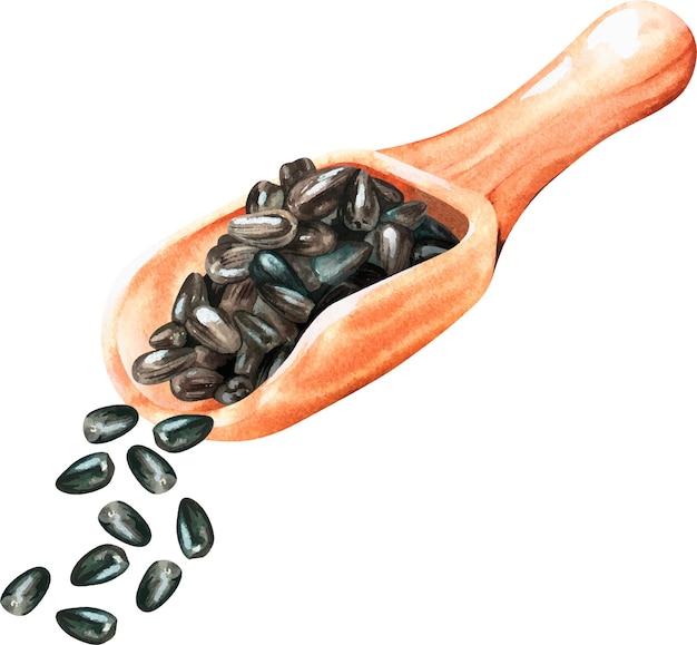 Sunflower seeds are poured from a scoop vector