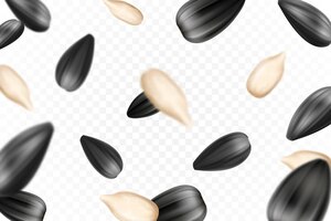 sunflower seeds isolated seamless vector pattern realistic shelled seeds isolated on white background