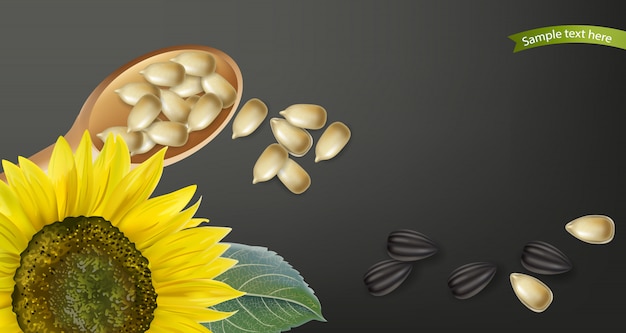 Vector sunflower seeds