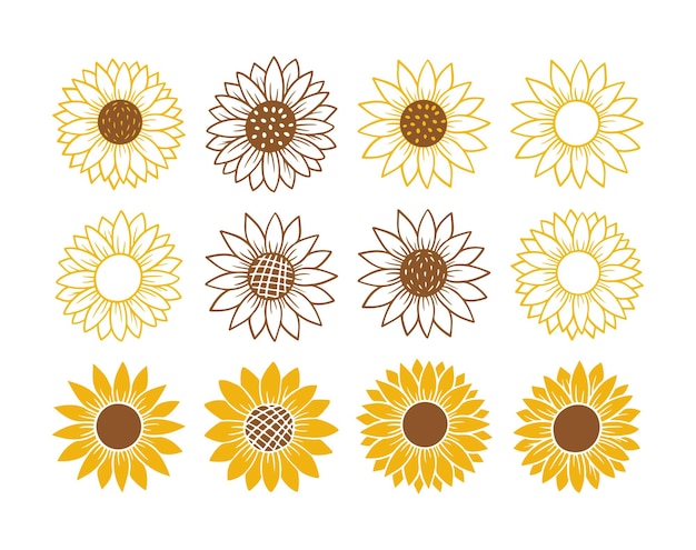 Insieme semplice dell'icona del girasole. illustrazione di vettore della siluetta del fiore. collezione logo grafico girasole, icona disegnata a mano per imballaggio, arredamento. cornice di petali, sagoma nera isolata su priorità bassa bianca.