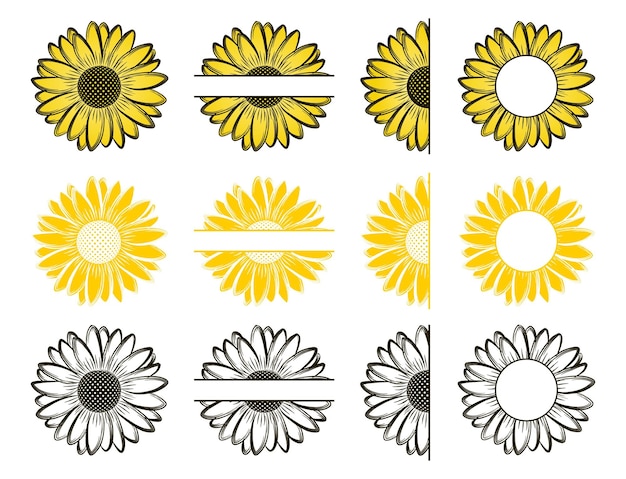 sunflower split monogram set graphic vector