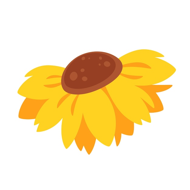 Sunflower summer flower Vector illustration