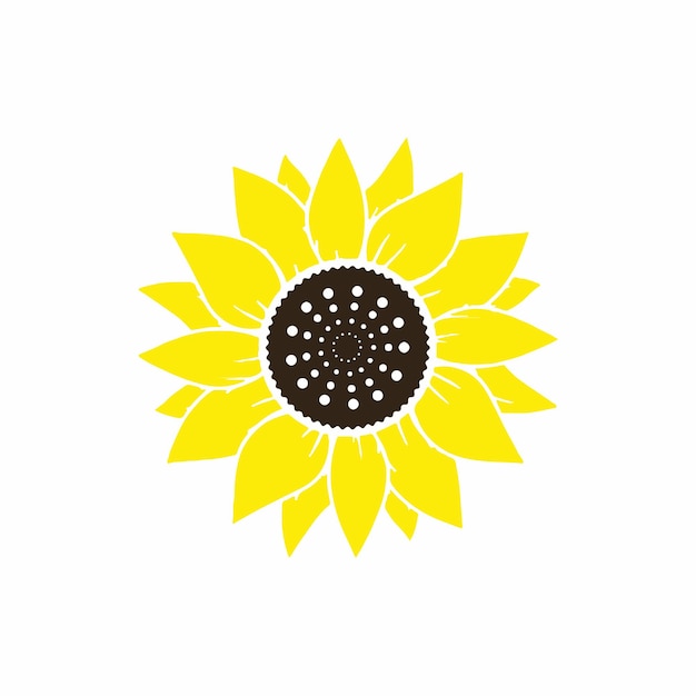 Vector sunflower vector bright yellow color