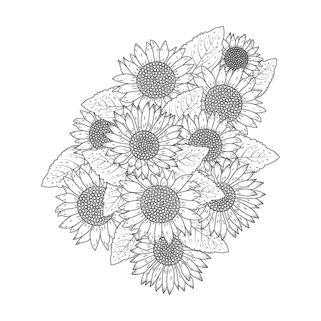 Sunflower vector design with blooming petal adult coloring book
page flowers