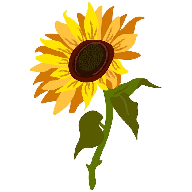 Sunflower vector individual element