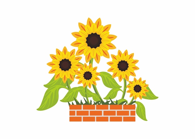 Vector sunflower vector for summer decoration