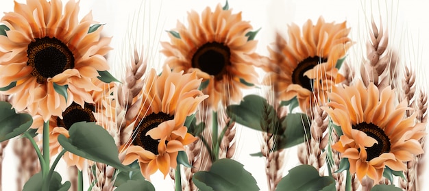 Vector sunflower watercolor . vintage rustic style floral decors