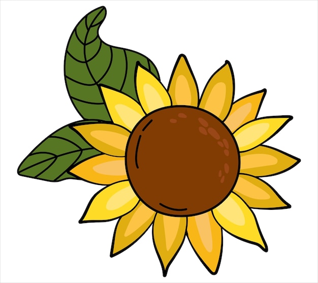 Sunflower on a white isolated background Cartoon style