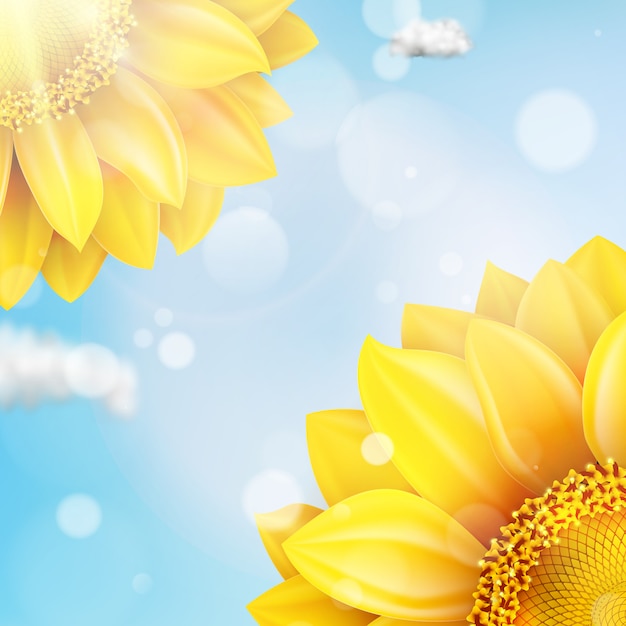 Vector sunflower with blue sky