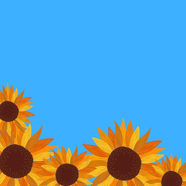 Sunflowers on a blue background